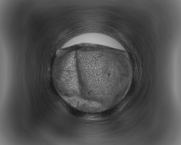 X0000086100557200704132150