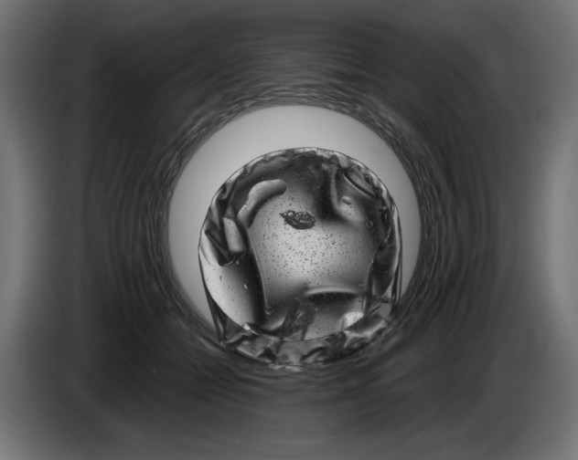 X0000086100558200704132150