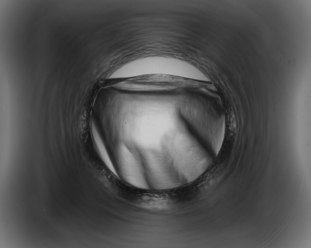 X0000086100559200704132150