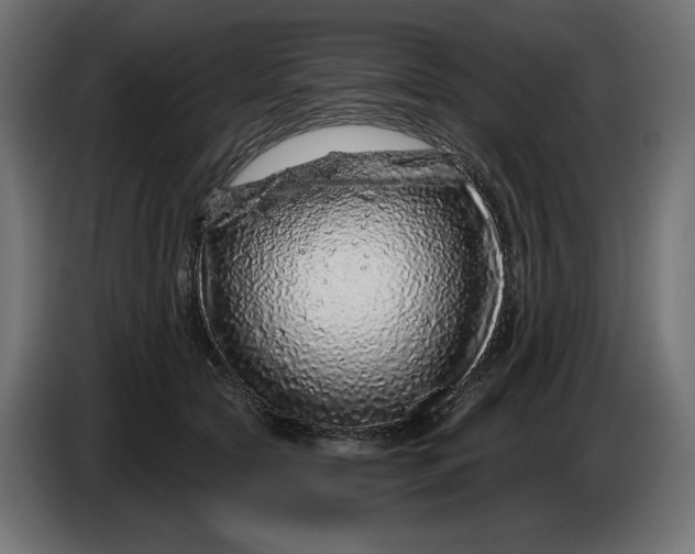 X0000086100561200704132150