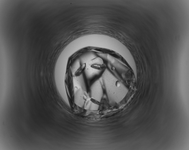 X0000086100562200704132150