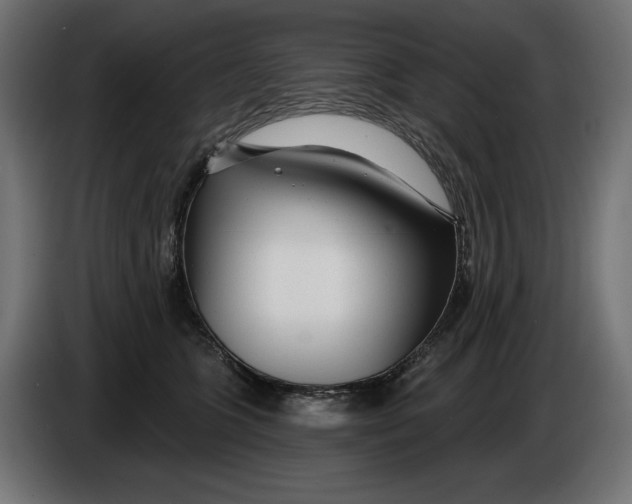X0000086100563200704132150