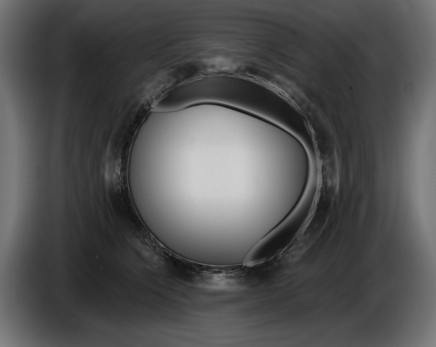 X0000086100564200704132150
