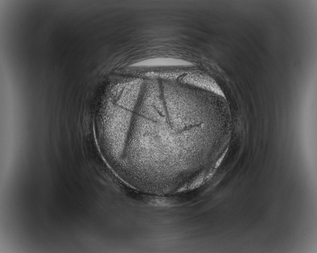 X0000086100565200704132150