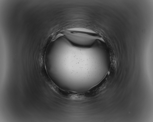 X0000086100568200704132150