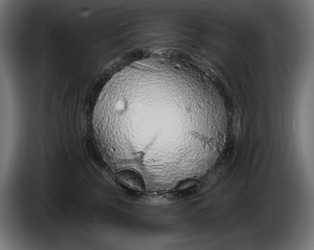 X0000086100569200704132150