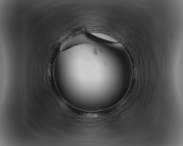 X0000086100570200704132150