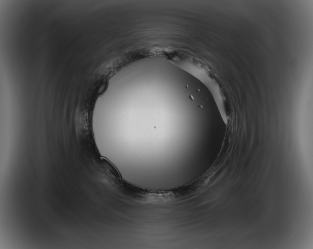 X0000086100571200704132150