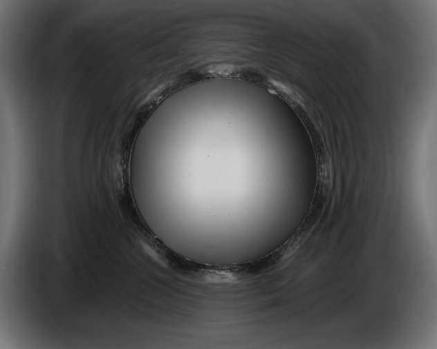 X0000086100572200704132150