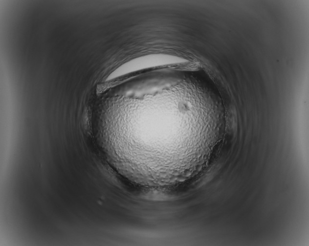 X0000086100573200704132150