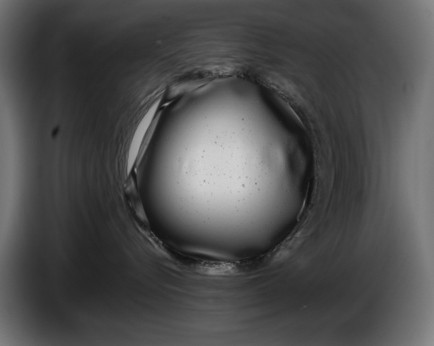 X0000086100576200704132150