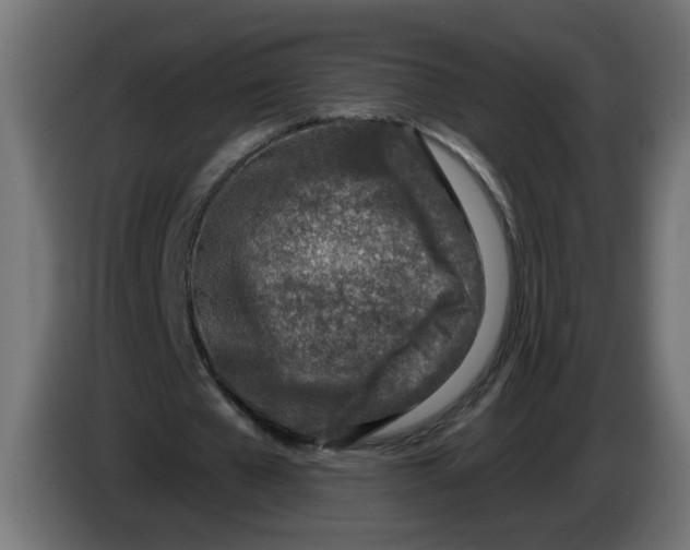 X0000086100577200704132149