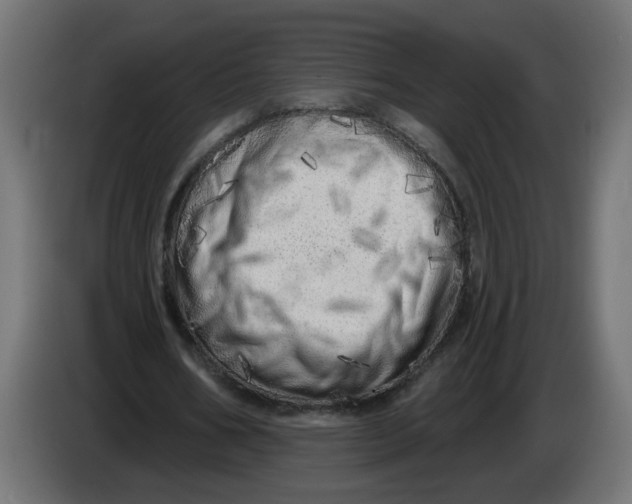 X0000086100578200704132149