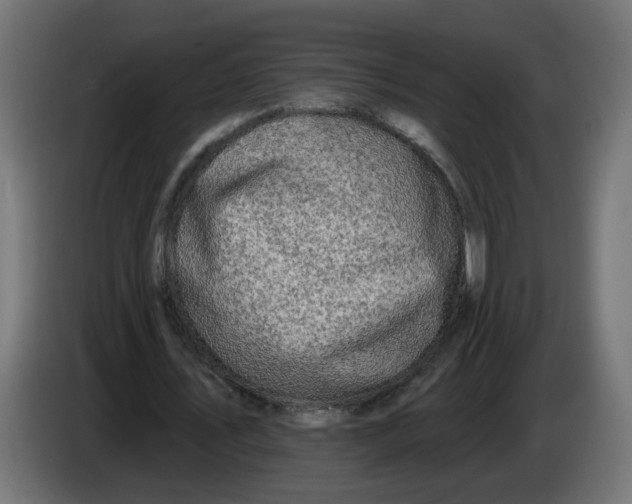 X0000086100579200704132149