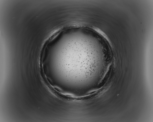 X0000086100581200704132149