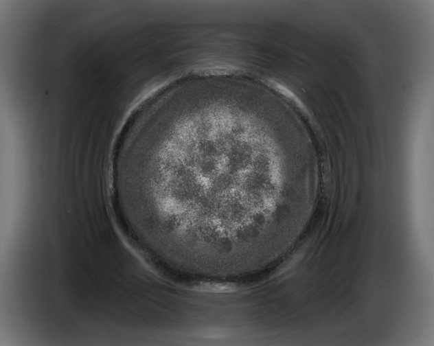 X0000086100582200704132149