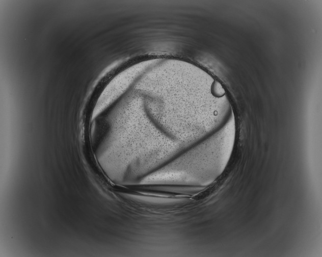 X0000086100584200704132149