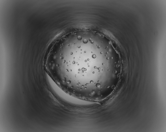 X0000086100585200704132149
