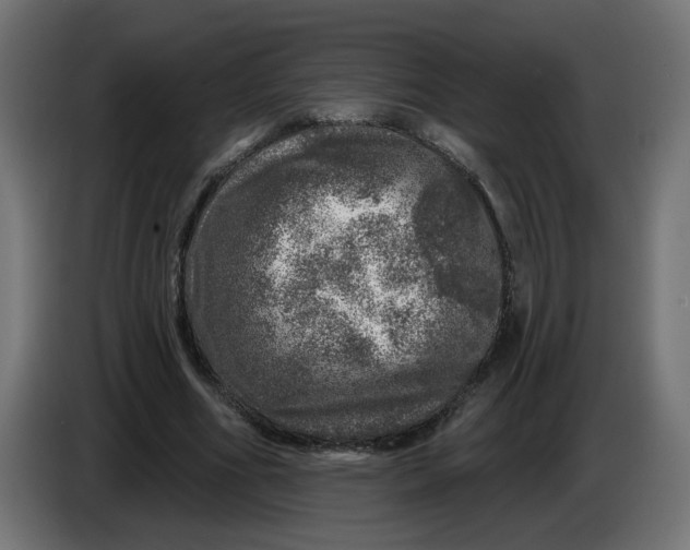 X0000086100586200704132149