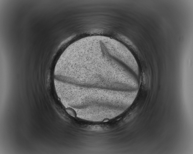 X0000086100588200704132149