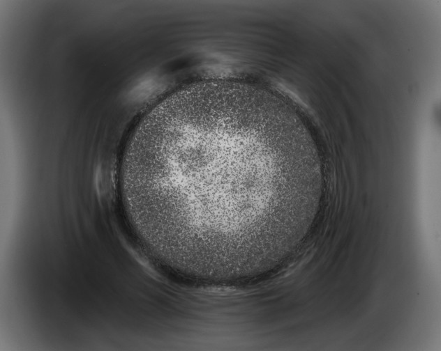 X0000086100590200704132149
