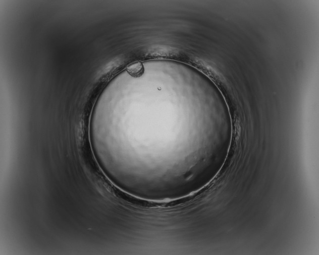X0000086100591200704132149