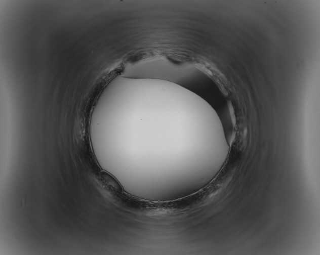 X0000086100593200704132149