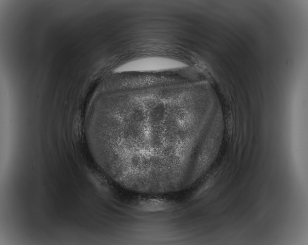 X0000086100594200704132149