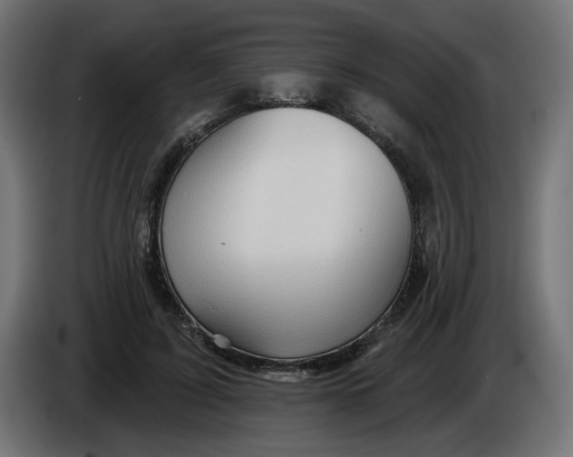 X0000086100595200704132149