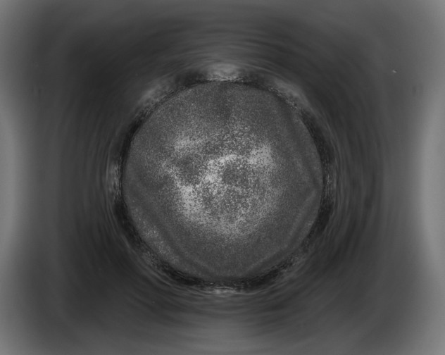 X0000086100598200704132149