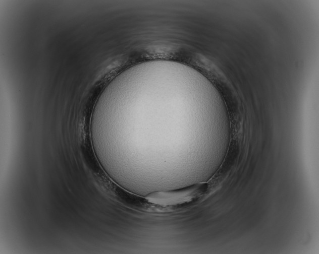 X0000086100599200704132149