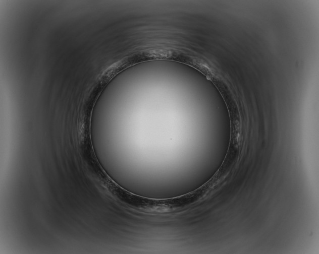 X0000086100600200704132149