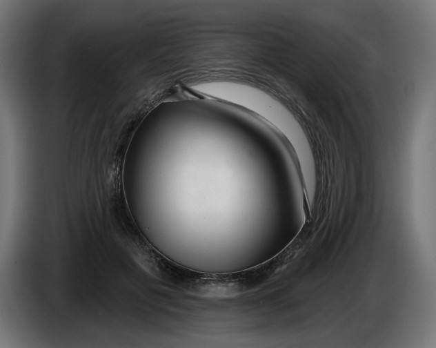X0000086100601200704132149