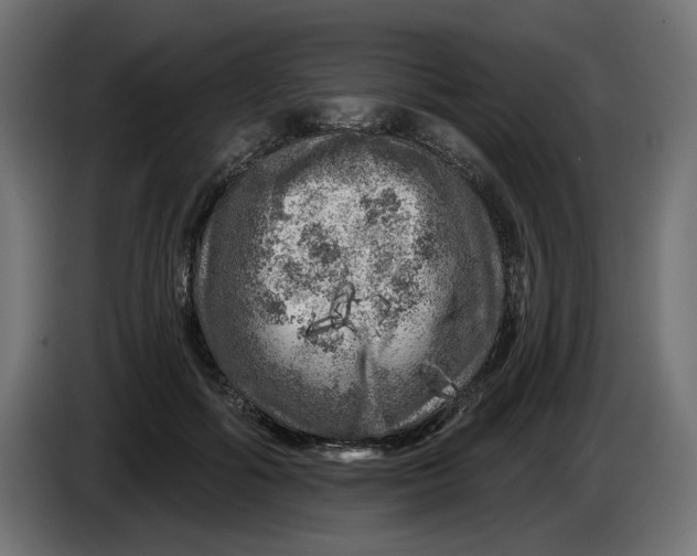 X0000086100602200704132149