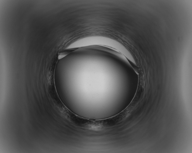 X0000086100604200704132149