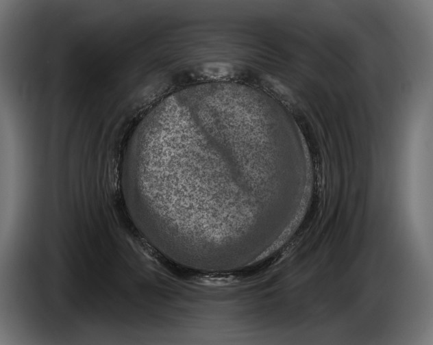 X0000086100606200704132149