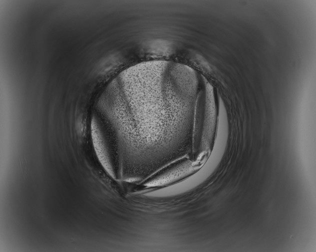 X0000086100608200704132149