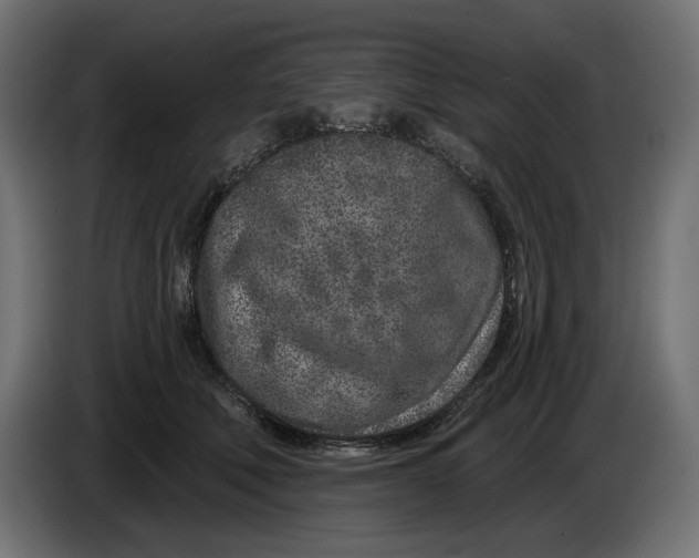 X0000086100610200704132149