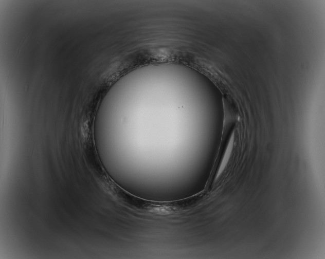 X0000086100611200704132149