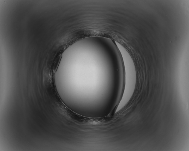 X0000086100613200704132149