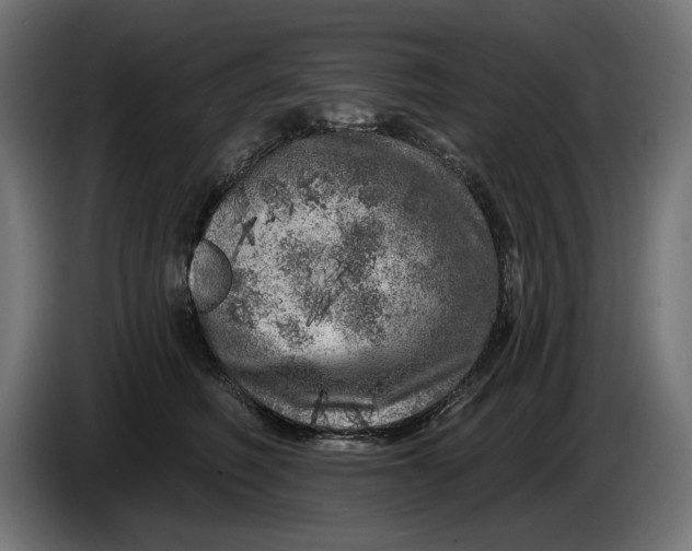 X0000086100614200704132149