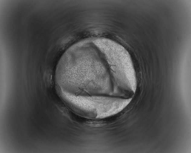 X0000086100615200704132149