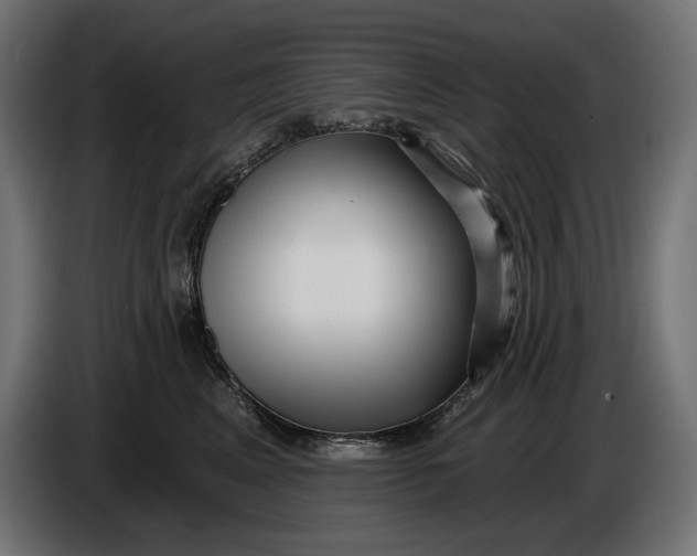 X0000086100617200704132149