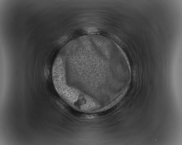 X0000086100618200704132149