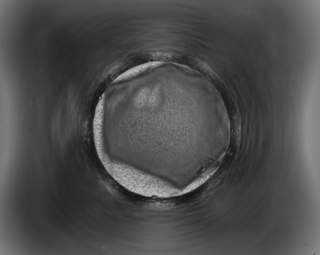 X0000086100619200704132149