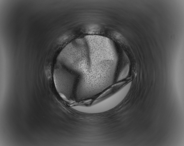 X0000086100620200704132149