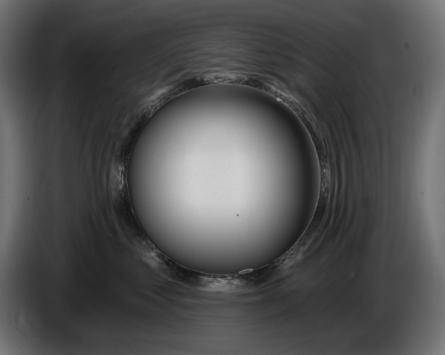 X0000086100621200704132149