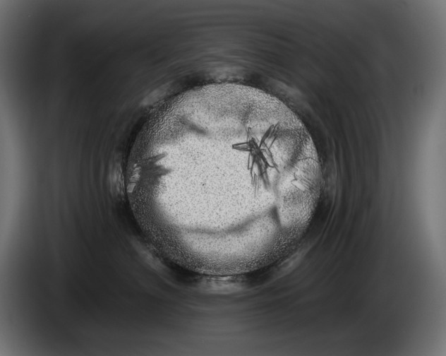 X0000086100622200704132149