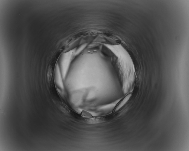 X0000086100623200704132149