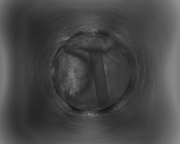 X0000086100624200704132149